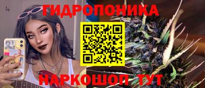 МДМА Новозыбков