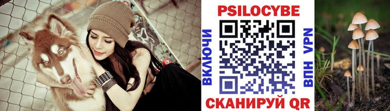 Псилоцибиновые грибы Cubensis  нарко площадка клад  Энгельс  что такое  