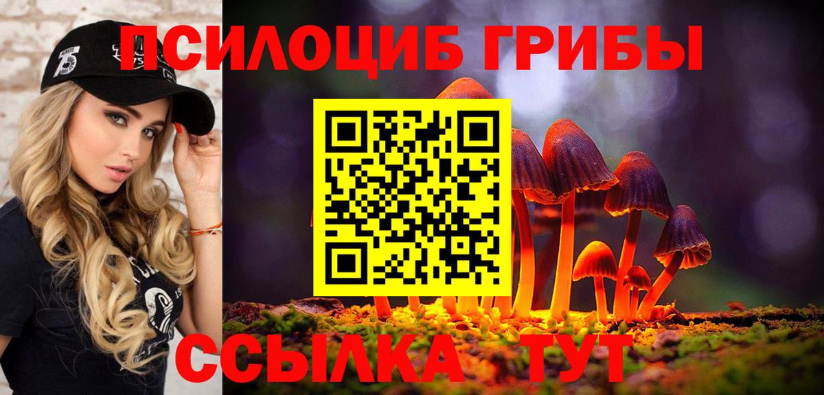 Псилоцибиновые грибы Psilocybe  Галлюциногенные грибы Psilocybe  Вход с VPN  Энгельс 
